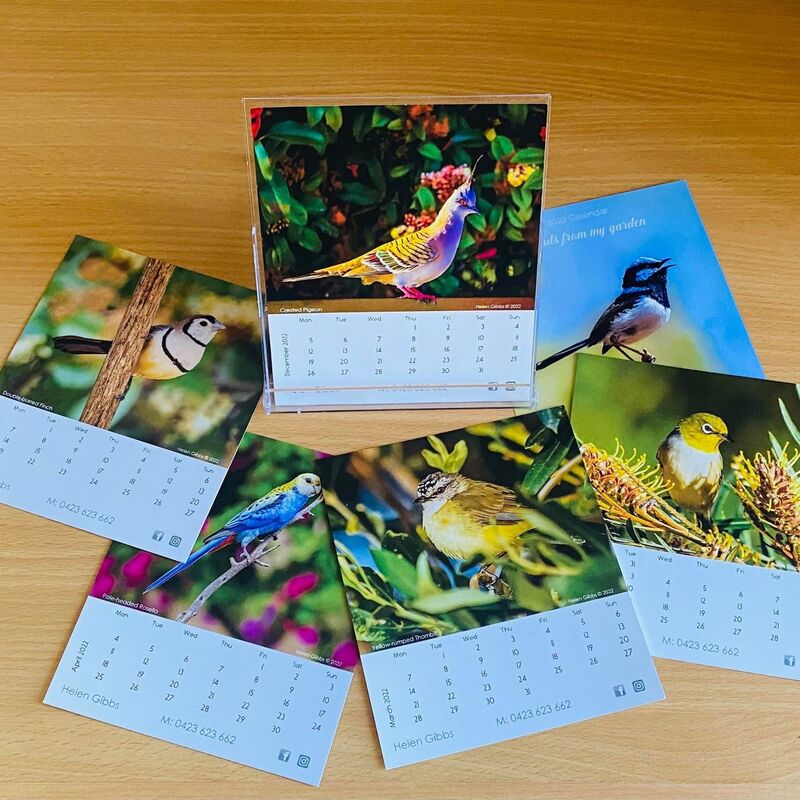 photos of native birds on a stand up desk calendar