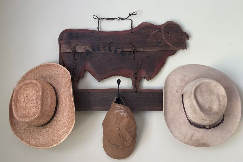 recycled timber made into hat hook in shape of a bull